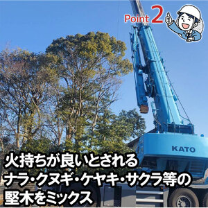 未乾燥薪30cm