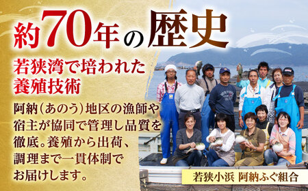 【TVで紹介されました】【定期便3回】【先行予約/10月19日より順次配送】【着日指定・のし対応可】若狭ふぐ刺し セット 4人前 ふぐ 小浜市/  阿納ふぐ組合 [BFAC012] 