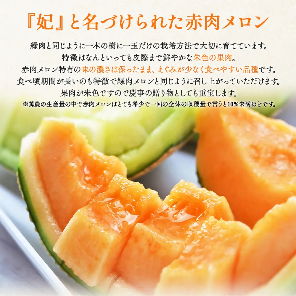 【11月以降順次配送】高知県産 マスクメロン ２玉 家庭用 【 赤肉青肉セット フルーツ くだもの フルーツ メロンの返礼品 】 香南市 tn-0026