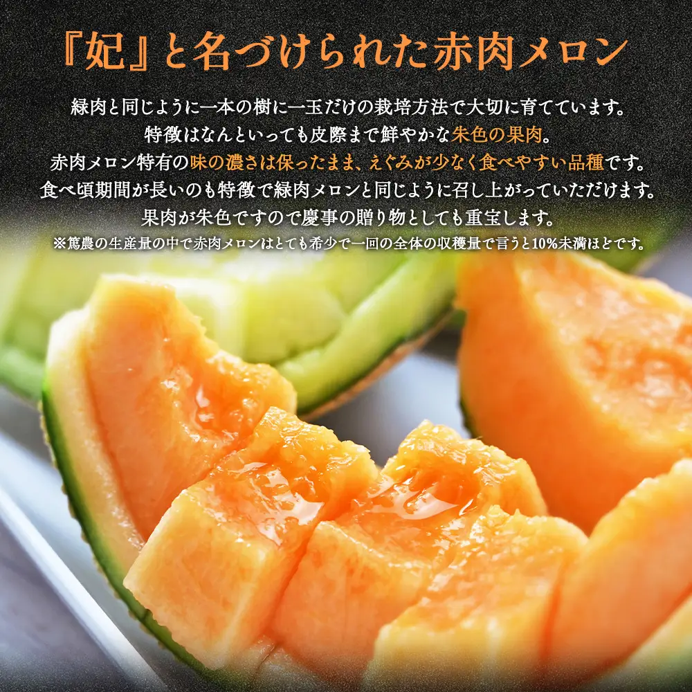 マスクメロン 2玉 食べ比べ メロン tn-0027