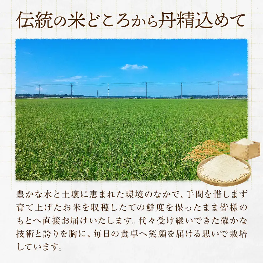 【3ヶ月定期便】R8年産米 米 白米 コシヒカリ 5kg 《お申込みの翌月から出荷》
