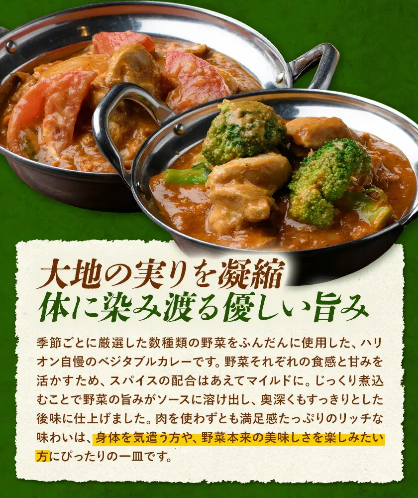 季節の野菜カレー 2食セット 野菜 カレー ベジタブルカレー インド 本格的 ジャムナコーポレーション株式会社