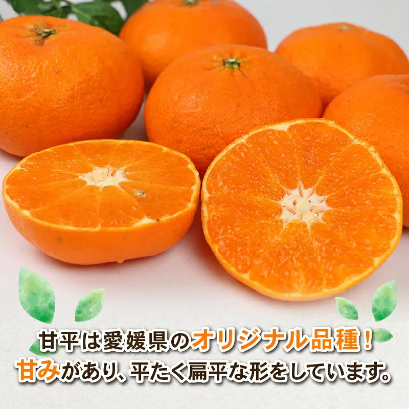 【甘平】 4kg Shirai.agrifarm 甘平 B020-115005