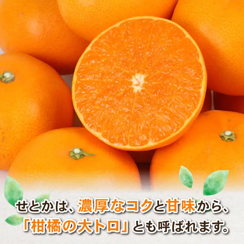 せとか 4kg Shirai.agrifarm せとか B020-115006