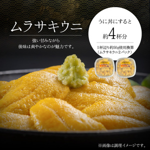 【2027年夏発送】塩水ウニ【ムラサキウニ】 100g×2パック 計200g 北海道余市町産塩水ウニ発祥の地 高級ウニ 高級雲丹 ムラサキウニ 白うに 目利き 北海道産ウニ 余市産ウニ 雲丹 うに 塩水うに_Y037-0357
