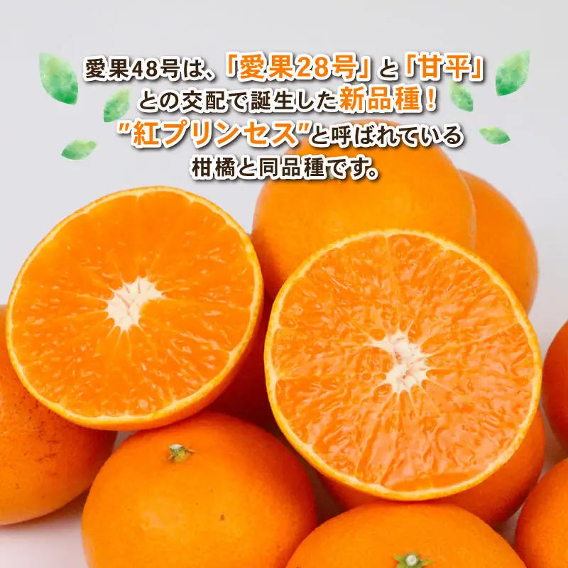 【先行受付】【新品種】甘平×まどんな 4kg「紅プリンセス」と同品種 愛媛果試48 みかん【B030-115007】【Shirai.agrifarm】 M～3L
