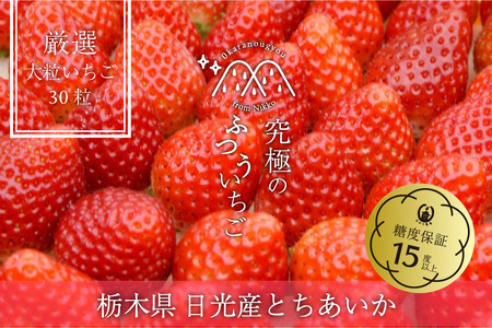 [先行予約]「究極のふつういちご」厳選大粒とちあいか 30粒入り＋いちご狩りペアご招待券 [2026年12月中旬より順次発送]  [0649]