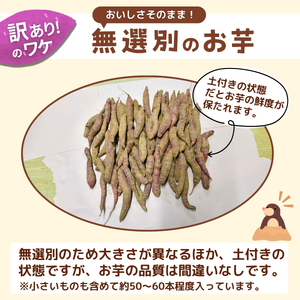 【訳あり】無選別+土付きのさつまいも(紅はるか)10kg | さつまいも さつまいも さつまいも さつまいも さつまいも