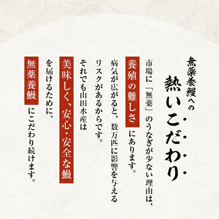 うなぎ 鹿児島産 山田のうなぎ ＜計960g以上＞ c2-014