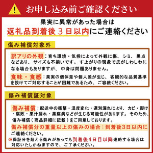 【愛媛みかん】 2kg 2箱 計4kg  国産みかん