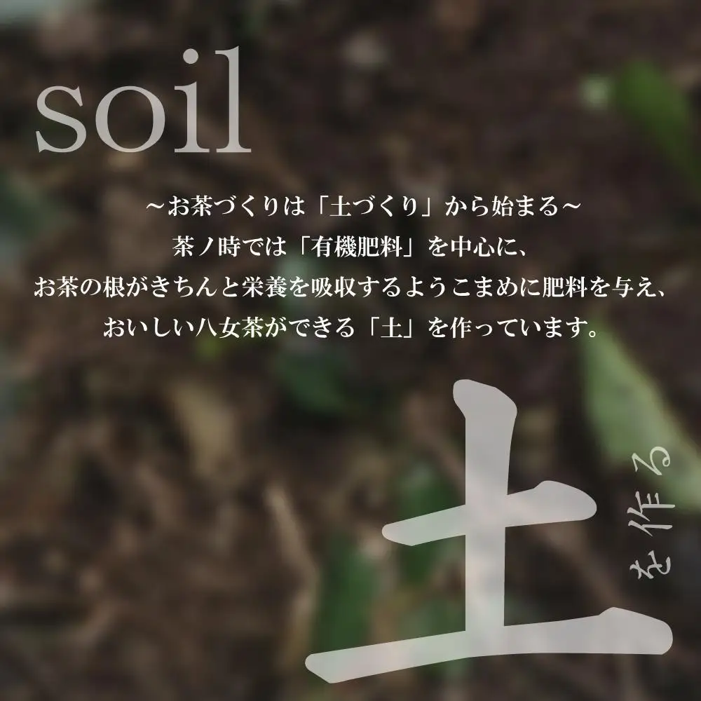 原田茶園 八女茶パウダー 160g(80g×2袋)【八女茶】