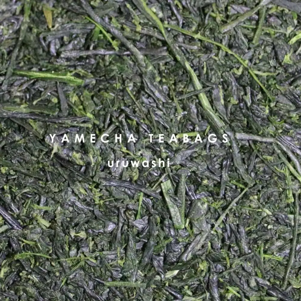 原田茶園 極上煎茶ティーバッグ 麗至 2袋(56g/14包)【八女茶】