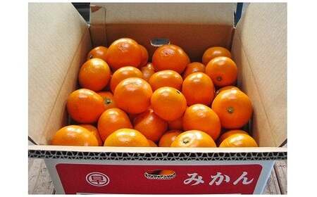 O84x1 おひさまおれんじ7kg おひさまおれんじ 7kg 希少 温州みかん 早生 温州 みかん ミカン 蜜柑 温州蜜柑 温州ミカン フルーツ くだもの 果物 ミネラル豊富 太良町 国産  【2026年12月上旬～2027年1月上旬】
