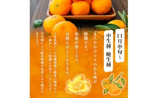 かねひろの黒酢みかん（小玉） 【7営業日以内発送】 【2026年10月下旬から2027年1月下旬まで発送予定】 新鮮 黒酢 アミノ酸 みかん 蜜柑 ミカン 温州みかん 5kg 甘い 柑橘 果実 フルーツ オレンジ 人気 おすすめ 贈答 ギフト 正月 実家 産地 九州 佐賀県 太良町 L39x1