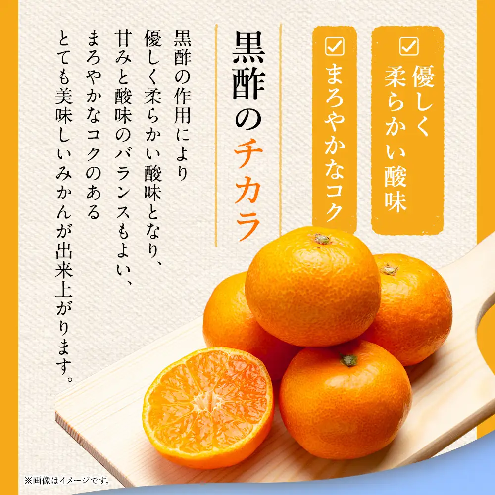 かねひろの黒酢みかん 10.3kg 2S～2L 【7営業日以内発送】 【2026年10月下旬から2027年1月下旬まで発送予定】新鮮 黒酢 アミノ酸 みかん 蜜柑 ミカン 温州みかん 10kg 甘い 柑橘 果実 フルーツ オレンジ 人気 おすすめ 贈答 ギフト 正月 実家 産地 九州 佐賀県 太良町 N77x1