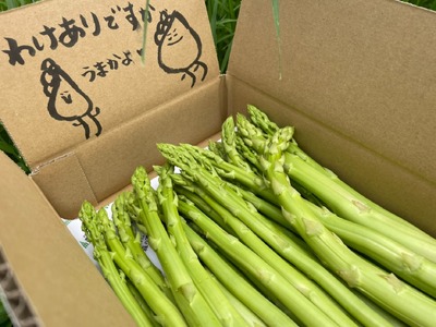 味はそのまま訳あり 森のアスパラ 800g (料理王国100選入賞 2021) アスパラ アスパラガス 規格外品 訳あり 佐賀県 太良町 LA1