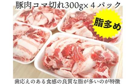 OC-4 N45F お肉大好き！豚肉３種 スライス 3kg ＆ 加工品 ２種 1.24kg【合計4.24kg】 スライス肉 薄切り 細切れ こま切れ コマ切れ モモ肉 生姜焼き用 お肉 デイリーウインナー ハンバーグのタネ ハンバーグ 粗びき 粗挽き セット品 冷凍便 人気 太良町 国産