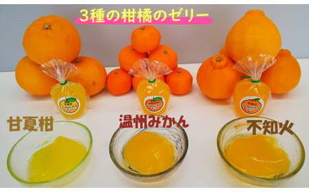N232x1 幸せな味がする手づくりこんにゃくゼリー みかん 蜜柑 ミカン フルーツ 果物 くだもの ジューシー 無添加 ゼリーおやつ デザート ヘルシー 柑橘類 プレゼント 贈り物 ギフト