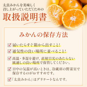 N-29 山本農園の甘熟みかん 10kg　みかん ミカン 蜜柑 温州みかん 完熟みかん 甘熟 国産 佐賀県産 太良町 こだわり プレミアム 贈答品 産地直送 有機栽培 詰め合わせ