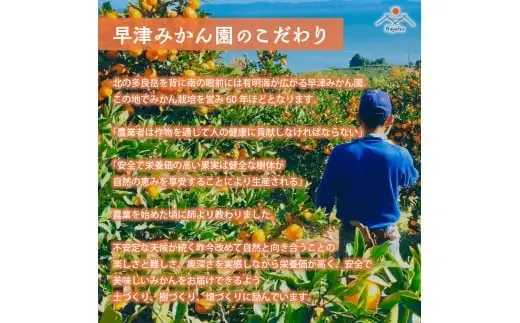 早津みかん園のスイートスプリング 3kg 【2027年2月上旬～3月上旬発送予定】 スイートスプリング みかん ミカン 柑橘 柑橘系 柑橘類 くだもの 果物 フルーツ 国産 佐賀県産 太良町産 佐賀県 太良町 常温 L27x1