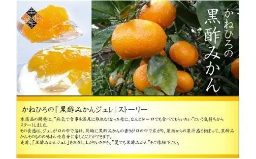 N231x1 かねひろの黒酢みかんゼリー（12個入り）