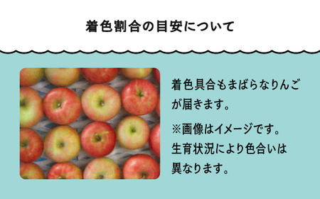 【先行予約】 りんご 品種おまかせ 訳あり 無印 約10kg 2026年産 令和8年産 フルーツ 果物 山形県 ※沖縄・離島への配送不可 ja-riwax10