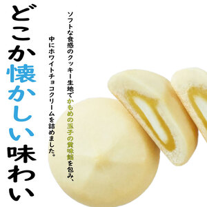 セーラーくんのかもめの玉子やわらかクッキー 5個入×2セット