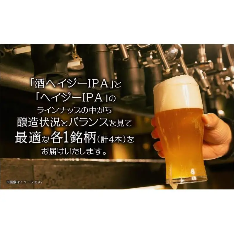 クラフトビール 2種 330ml 計4本 酒ヘイジーIPA Hazy IPA ビール 地ビール 瓶ビール ヘイジーIPA お酒 酒 ホップ 麦芽 コーヒー人気 晩酌 宅飲み 家飲み 飲み比べ お取り寄せ ギフト 冷蔵 ジョークンビール 新潟県 十日町市