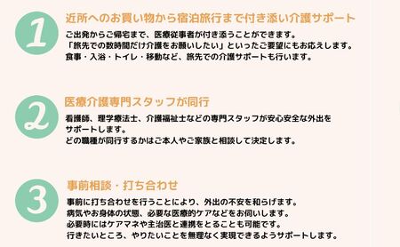 看護師同行 外出支援サービス 6時間コース 介護旅行 医療従事者 看護師 チケット 