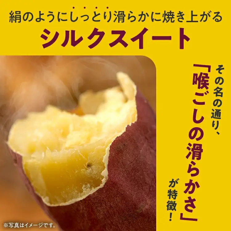 先行予約 訳あり シルクスイート 熟成 シルクスイート 5kg さつまいも 芋 サツマイモ 土付き サイズ色々 サイズ不揃い 九州産 焼き芋 やきいも 甘い デザート スイートポテト 生芋 おやつ デザート