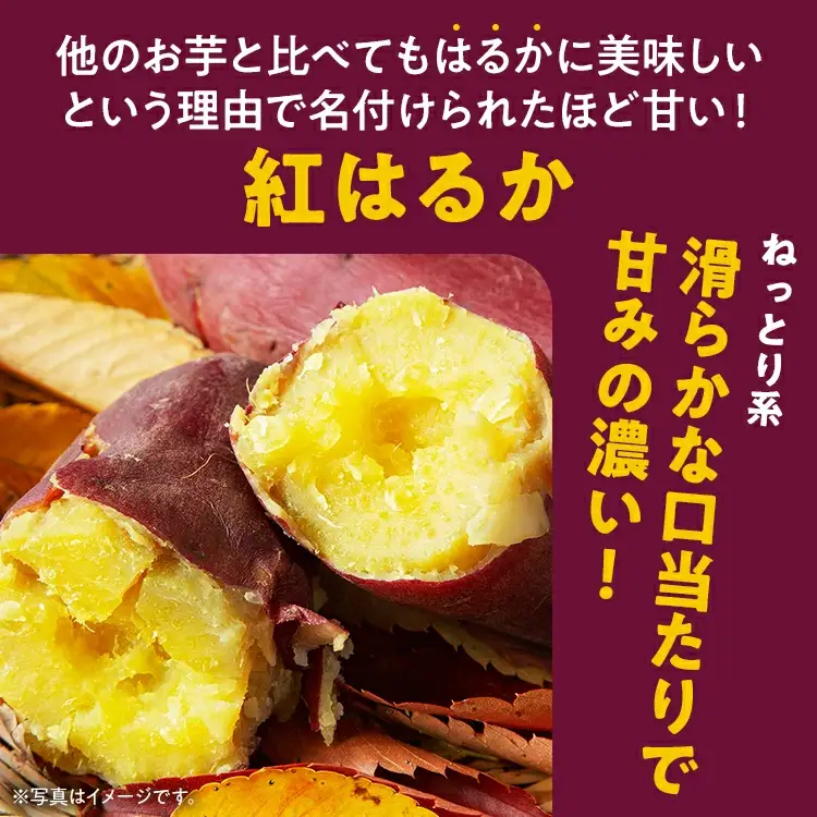さつまいも 訳あり 紅はるか 5kg 焼き芋 サツマイモ 野菜