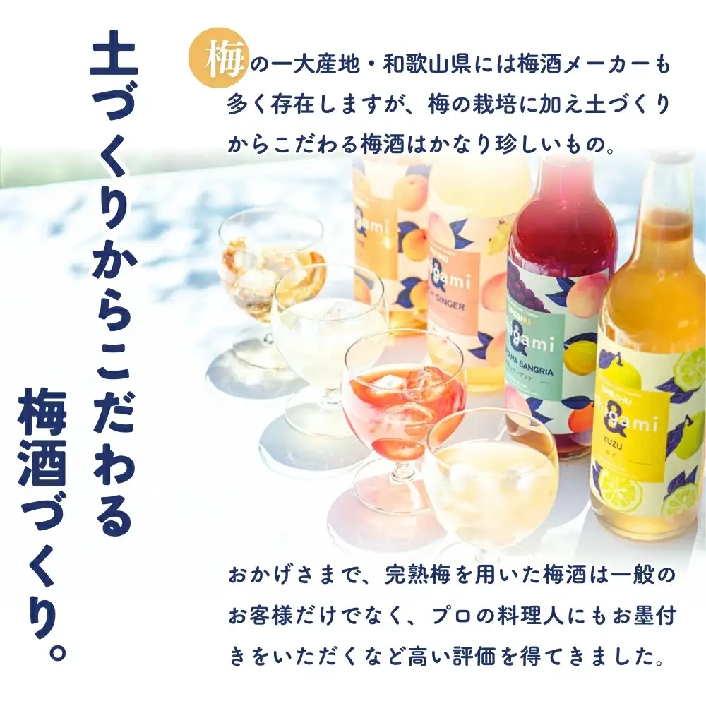 梅酒ishigami&（イシガミアンド）（うめ） 600ml×2本 / 梅干し 梅干 梅 うめ 炭酸割り ロック 和歌山 田辺市 紀州産 南高梅 完熟梅 フルーツ【isg042】