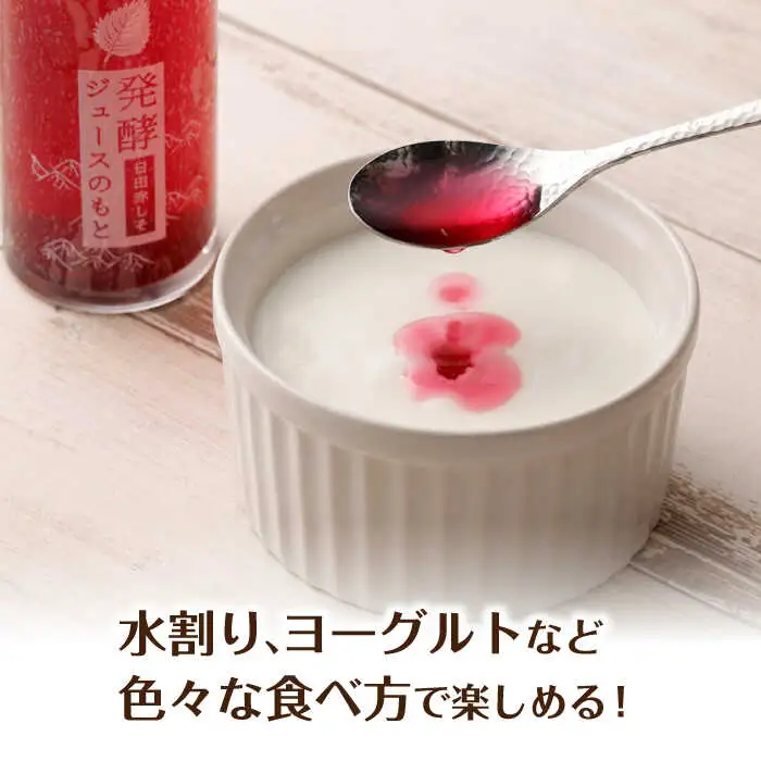 発酵ジュースのもと〈日田赤しそ〉 110ml×5本 ジュース 紫蘇 しそ 紫蘇ジュース 果実飲料 [ARDA003]