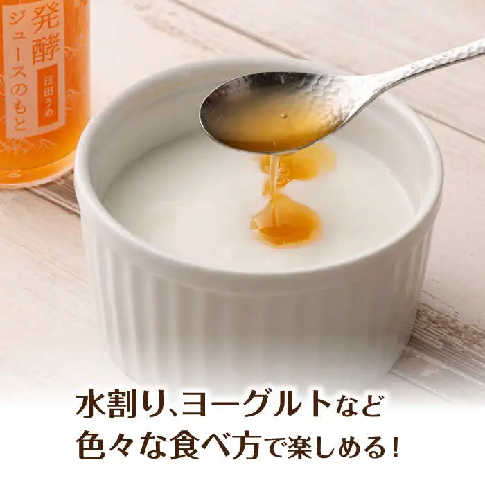 発酵ジュースのもと〈日田うめ〉 110ml×5本 ジュース うめ ウメ 梅 果実飲料 [ARDA004]