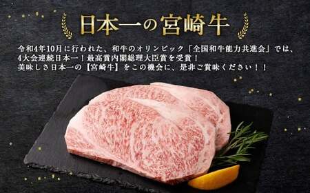 ＜宮崎牛 ロースステーキ 2枚 500g＞入金確認後、翌月末迄に順次出荷【c1191_mc_x2】 新生活応援 卒業祝い 就職祝い 入学 卒業 お花見 引越し