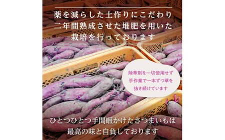 【12月発送】茨城県産【干し芋／さつまいも鬼澤】紅はるか　120g×6袋（720g）