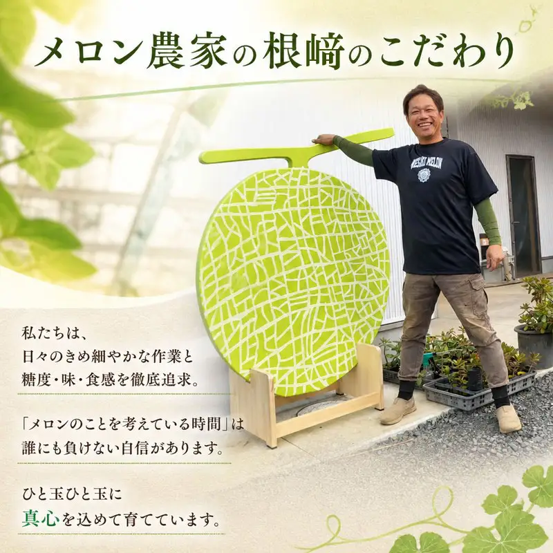 【贈答用】イバラキング（青肉メロン） 2玉入 青肉品種 根﨑メロン！ ／ イバラキング 果物 フルーツ ギフト 農家直送 nsn004_X1