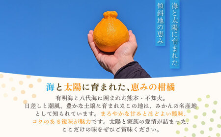 先行予約 不知火 あーちゃん家の不知火 5kg 【2027年4月上旬-5月下旬発送予定】