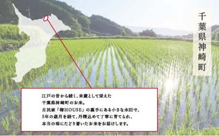 令和6年産 【美人米】白米10kg 【千葉県神崎町産】[002-a001]【精米 無洗米 米俵 コシヒカリ】