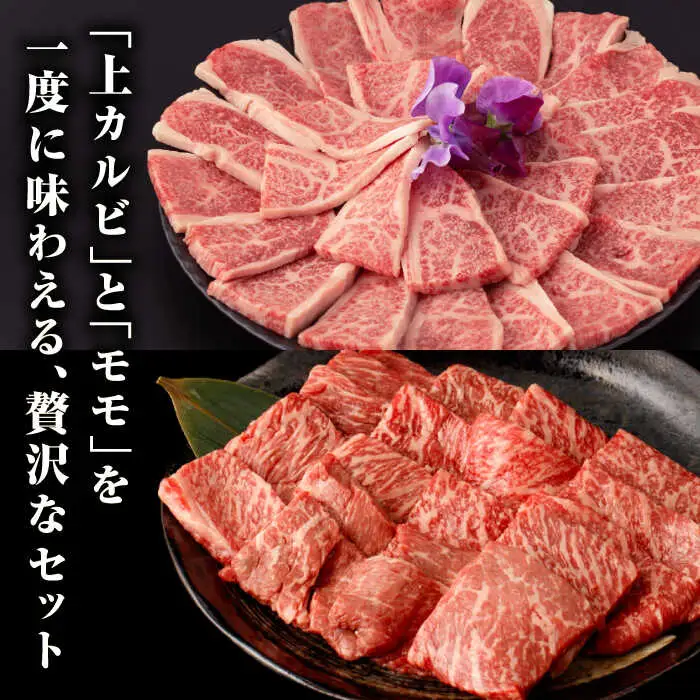【全3回定期便】【A4～A5ランク】長崎和牛 焼肉用 モモ・上カルビ 総計900g《壱岐市》【野中精肉店】 牛 牛肉 和牛 赤身 焼肉 焼き肉 カルビ BBQ バーベキュー 食べ比べ ギフト 贈答用 冷凍配送 A4 A5 [JGC040]