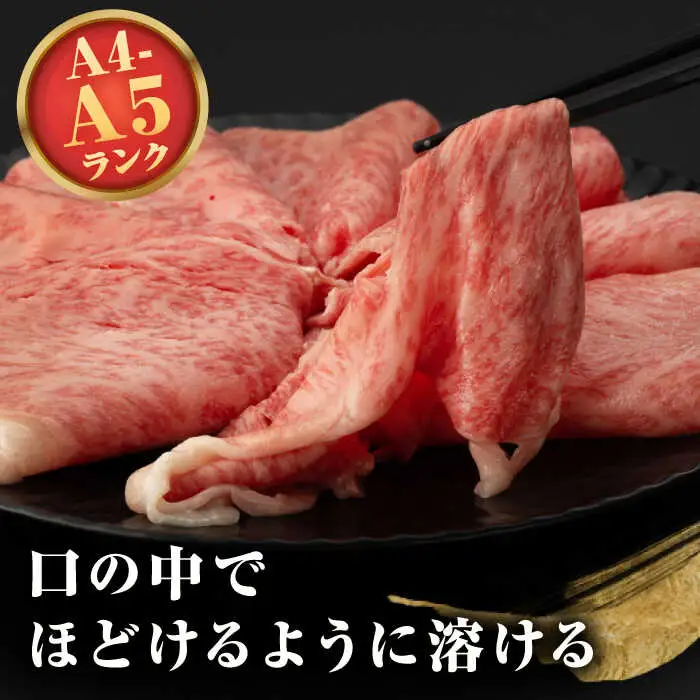 【全6回定期便】【A4～A5ランク】長崎和牛 ローススライス 400g（しゃぶしゃぶ・すき焼き用）《壱岐市》【野中精肉店】 牛 牛肉 和牛 国産 長崎和牛 霜降り しゃぶしゃぶ すき焼用 ロース ギフト 贈答用 冷凍配送 A5 [JGC049]