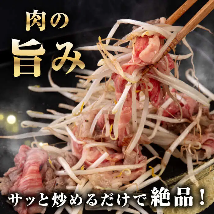 【全2回定期便】【A4~A5ランク】 長崎和牛 肩ロース 切り落とし 300g《壱岐市》【野中精肉店】牛 牛肉 和牛 国産 長崎和牛 霜降り すき焼き すき焼 ロース ギフト 贈答用 冷凍配送 A4 A5 [JGC063]
