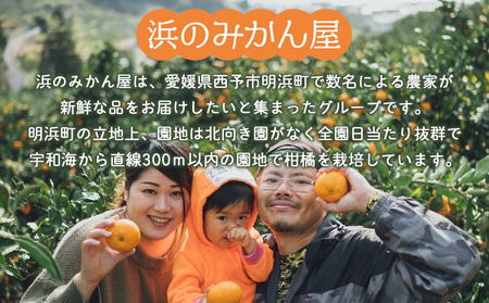 ＜果汁100％みかんジュース 720ml×6本セット＞ 温州みかん うんしゅう ウンシュウミカン ストレート 柑橘 果物 みかん 蜜柑 ミカン 詰め合わせ 詰合せ 詰め合せ フルーツ 国産 飲料 浜のみかん屋 特産品 愛媛県 西予市【常温】『1か月以内に順次出荷予定』AHM0016