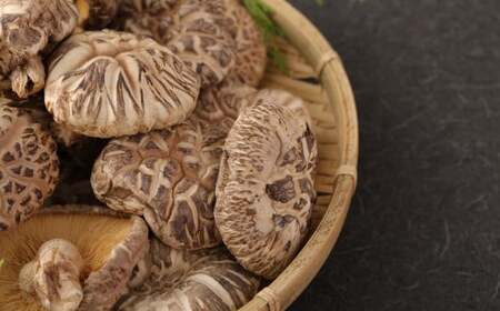 【3ヶ月定期便】大分産しいたけ花どんこ 250g 合計750g 乾燥椎茸 乾燥 しいたけ 干し椎茸 乾し椎茸 乾燥野菜 原木どんこ 花どんこ 大分県 九重町