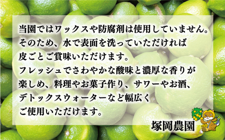 数量限定 愛媛 レモン （ グリーンレモン ） 4kg 10000円 柑橘 サイズ 不揃い 贈答用 ギフト 家庭用 檸檬 国産 フルーツ 果物 果実 産地直送 農家直送 期間限定 特産品 瀬戸内 ワックス 防腐剤 不使用 果汁 人気 新鮮 レモネード 塩レモン レモン酢 レモンソース はちみつレモン レモンケーキ レモンスカッシュ レモンサワー レモン酎ハイ ビタミン 愛南町 愛媛県 塚岡農園【tsukaoka06】