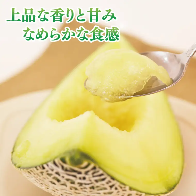 アールスメロン 1玉 益子町 AA040