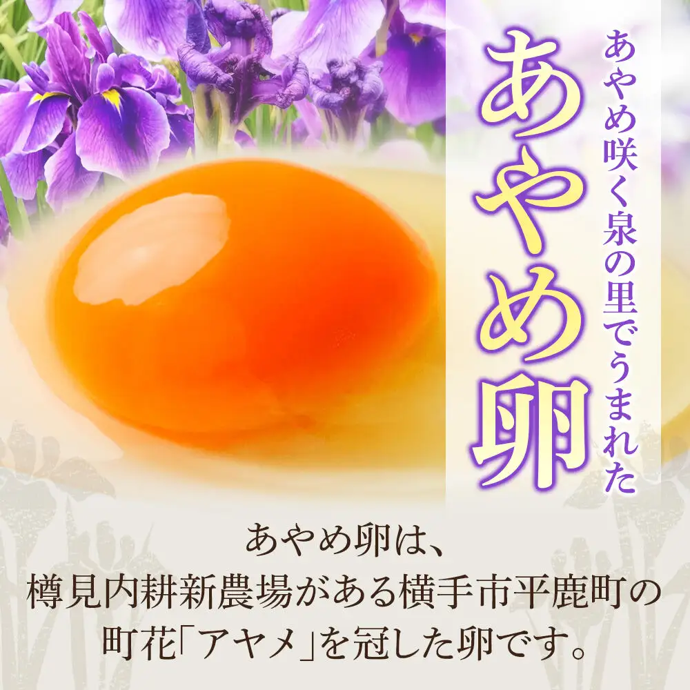 あやめ卵 160個入 【農場HACCP認証】 【JGAP認証】