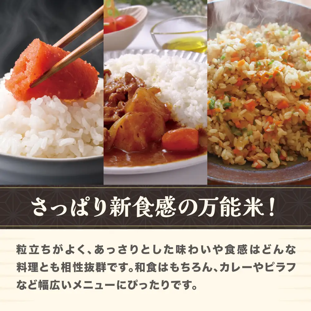 新米 令和8年産 精米 雪若丸 20kg ja-ywsxb20