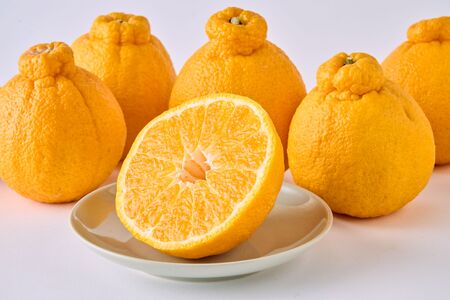 先行予約 果実の宝箱 葉付きデコ柑 不知火 約2.5kg 田辺農園 【2027年3月上旬から6月中旬順次発送予定】