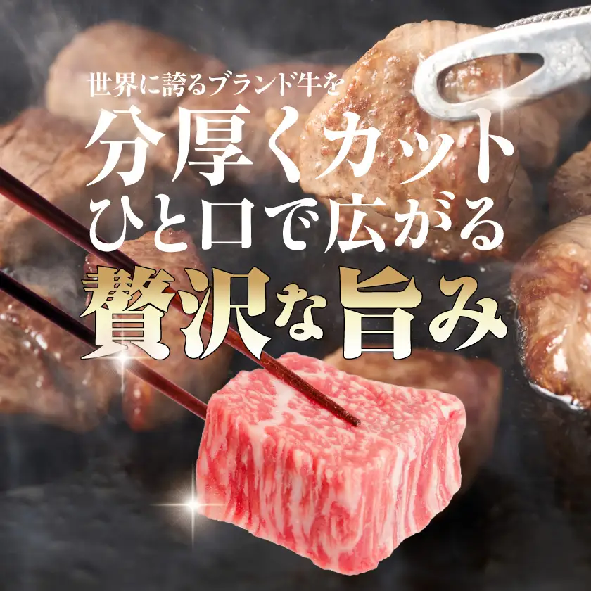 宮崎牛サイコロステーキ(ロース・モモMIX)170g×4P〔16-26-004〕_(都城市) 宮崎牛 牛 ロース モモ サイコロステーキ A4 170g×4P
